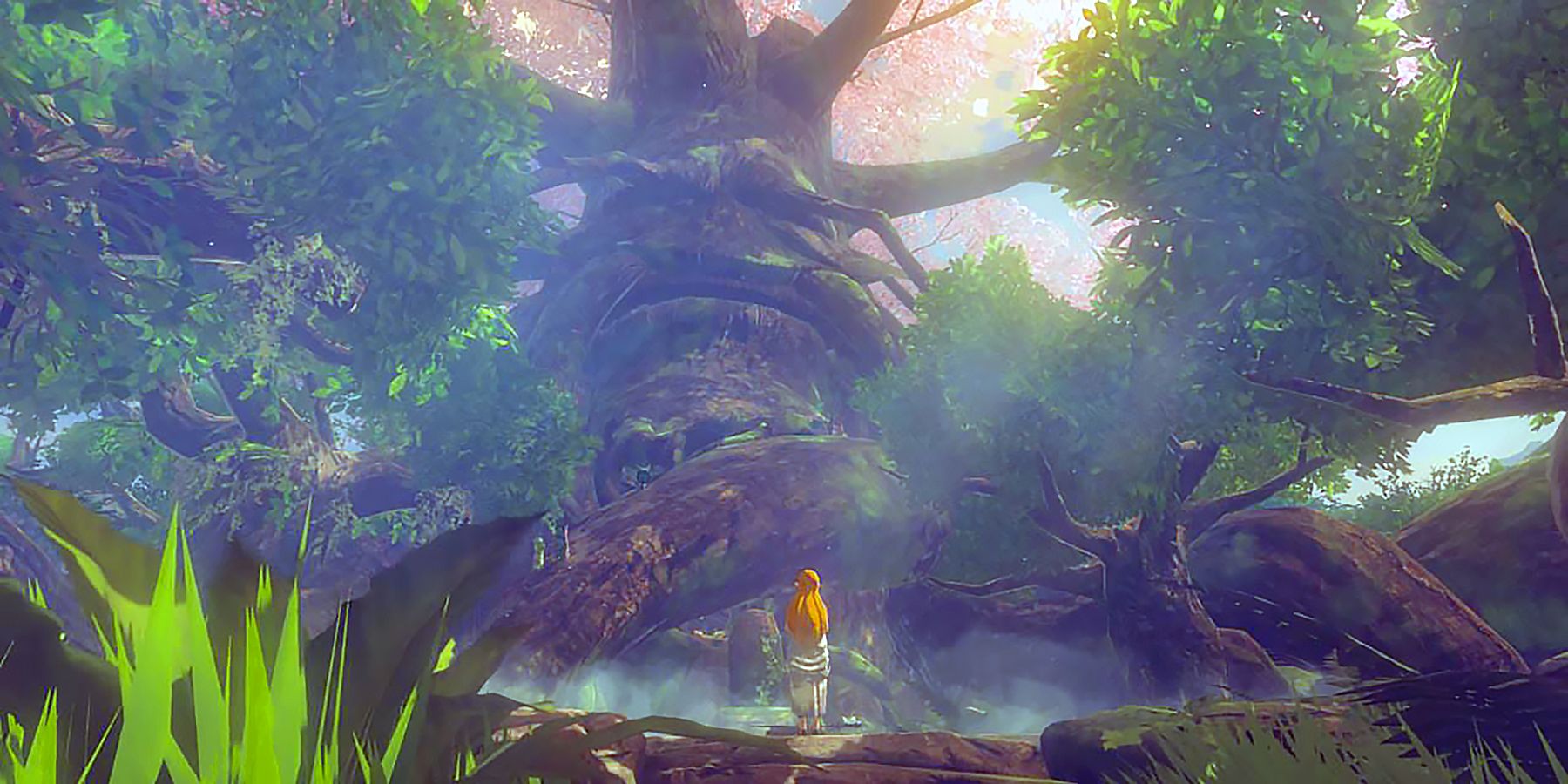 Legend of Zelda Breath of the Wild Deku Tree