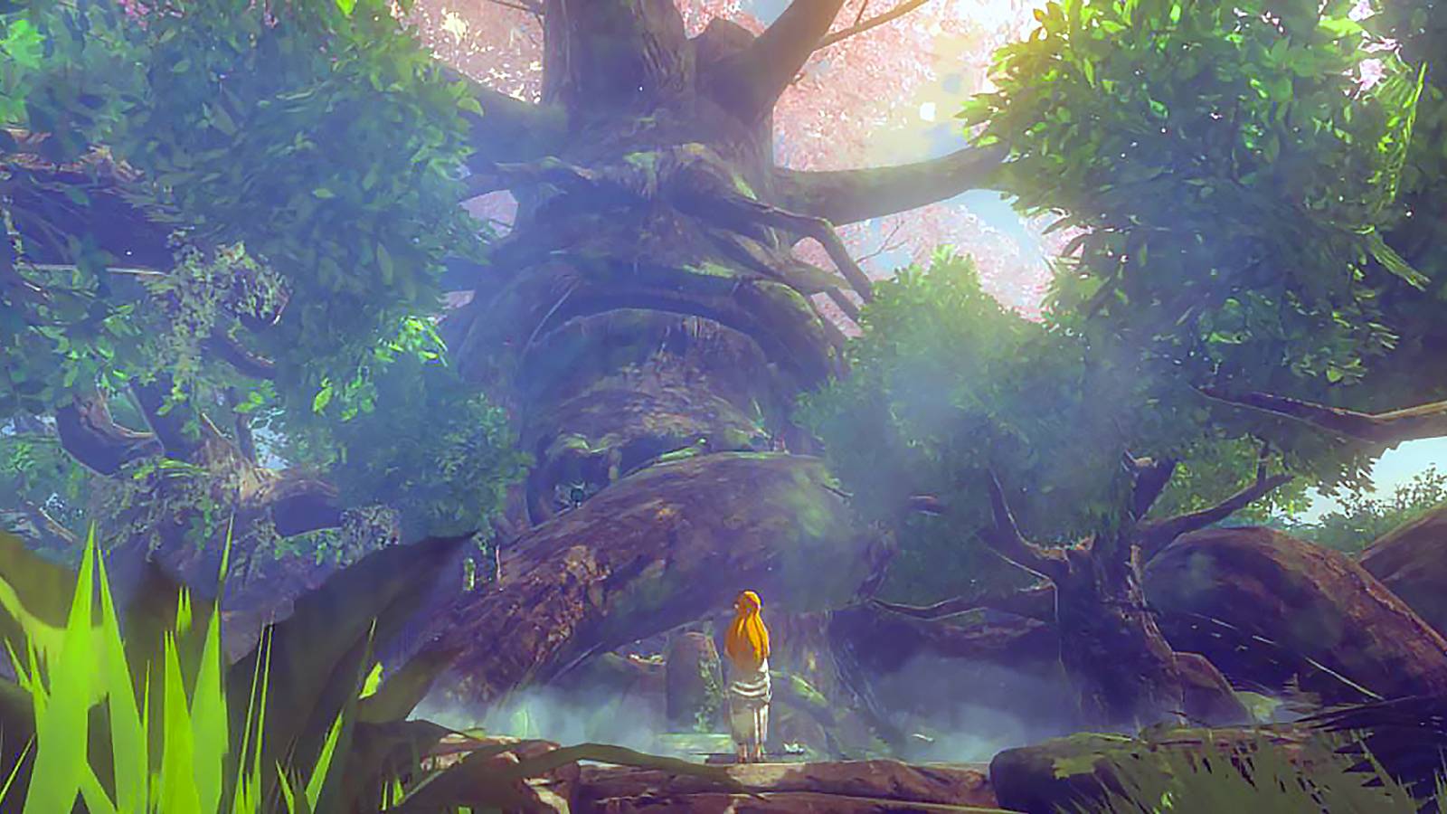 Legend-of-Zelda-Breath-of-the-Wild-Deku-Tree