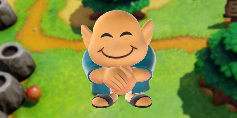 Legend of Zelda Town Tool Shopkeeper