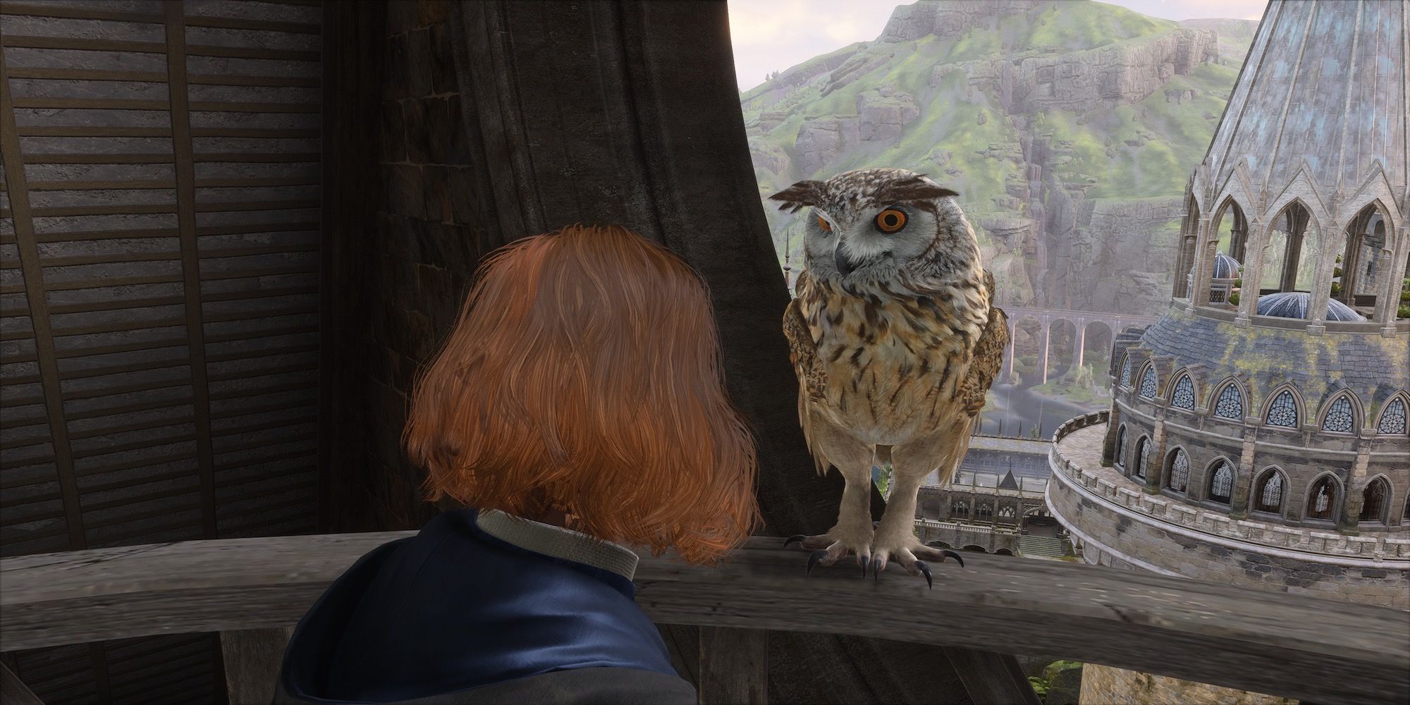 Looking at an owl in Hogwarts Legacy