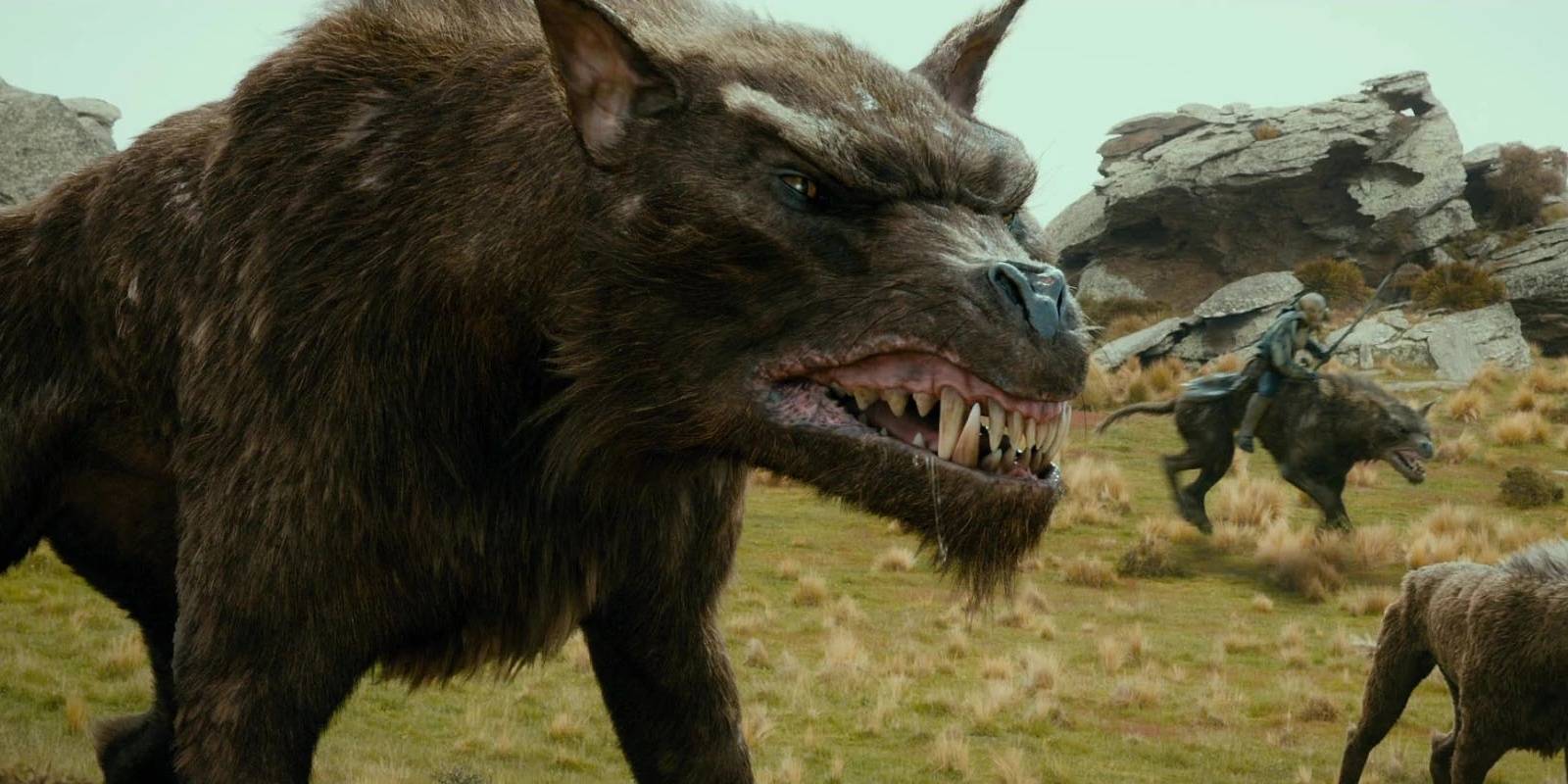 Wargs Rop LOTR: What Are The Wargs?