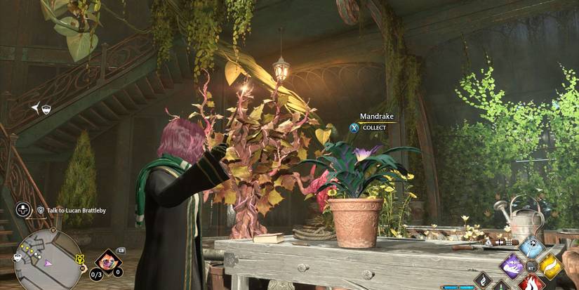 Hogwarts Legacy: Where To Get Mandrakes