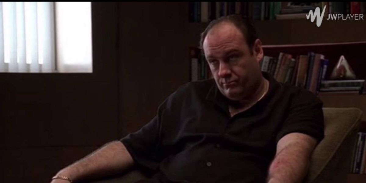 Tony Soprano from The Sopranos