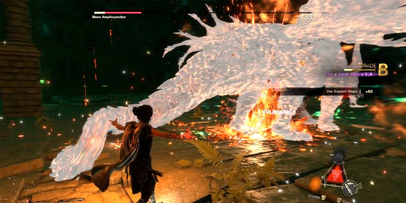 meso amphicynodon in forspoken