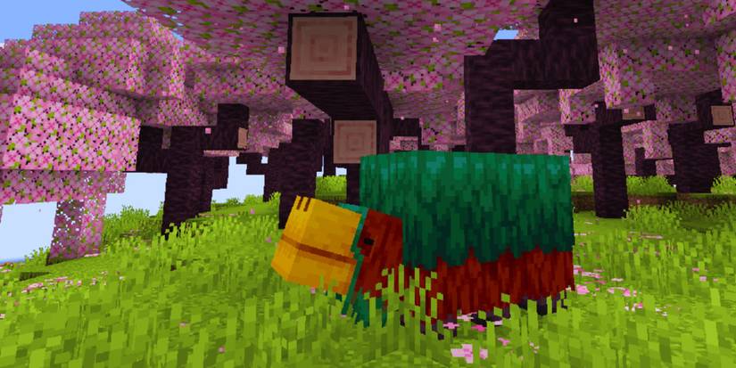 Sniff Minecraft Color Minecraft: Things You Need To Know About Sniffers