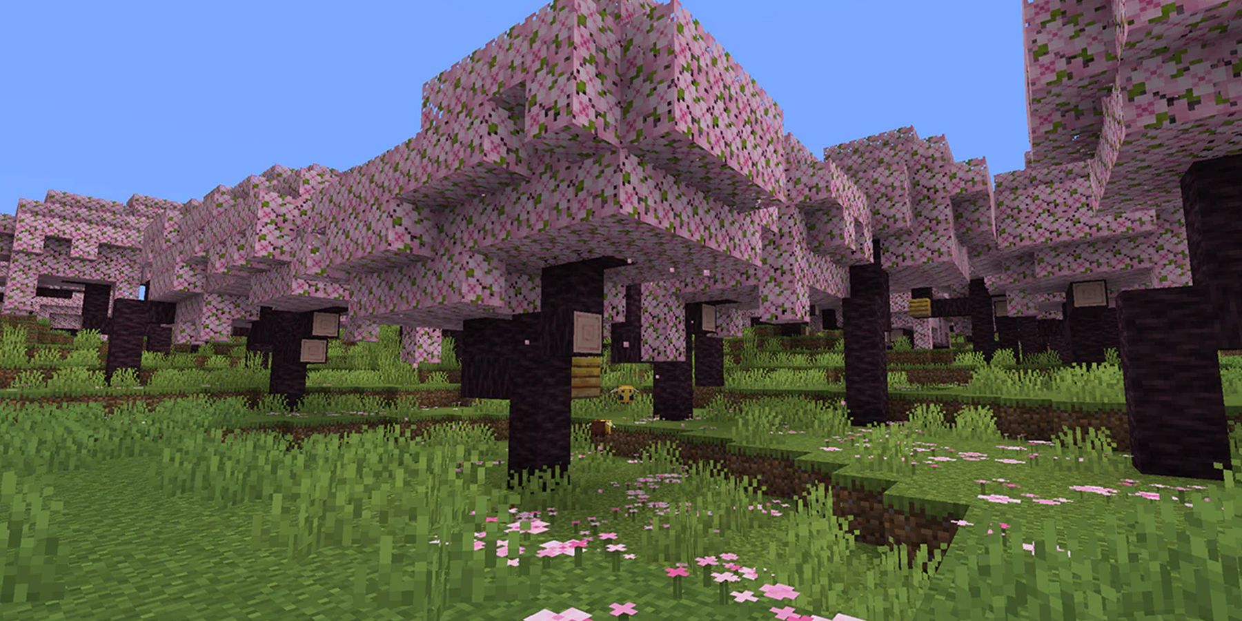 Minecraft Cherry Blossoms 