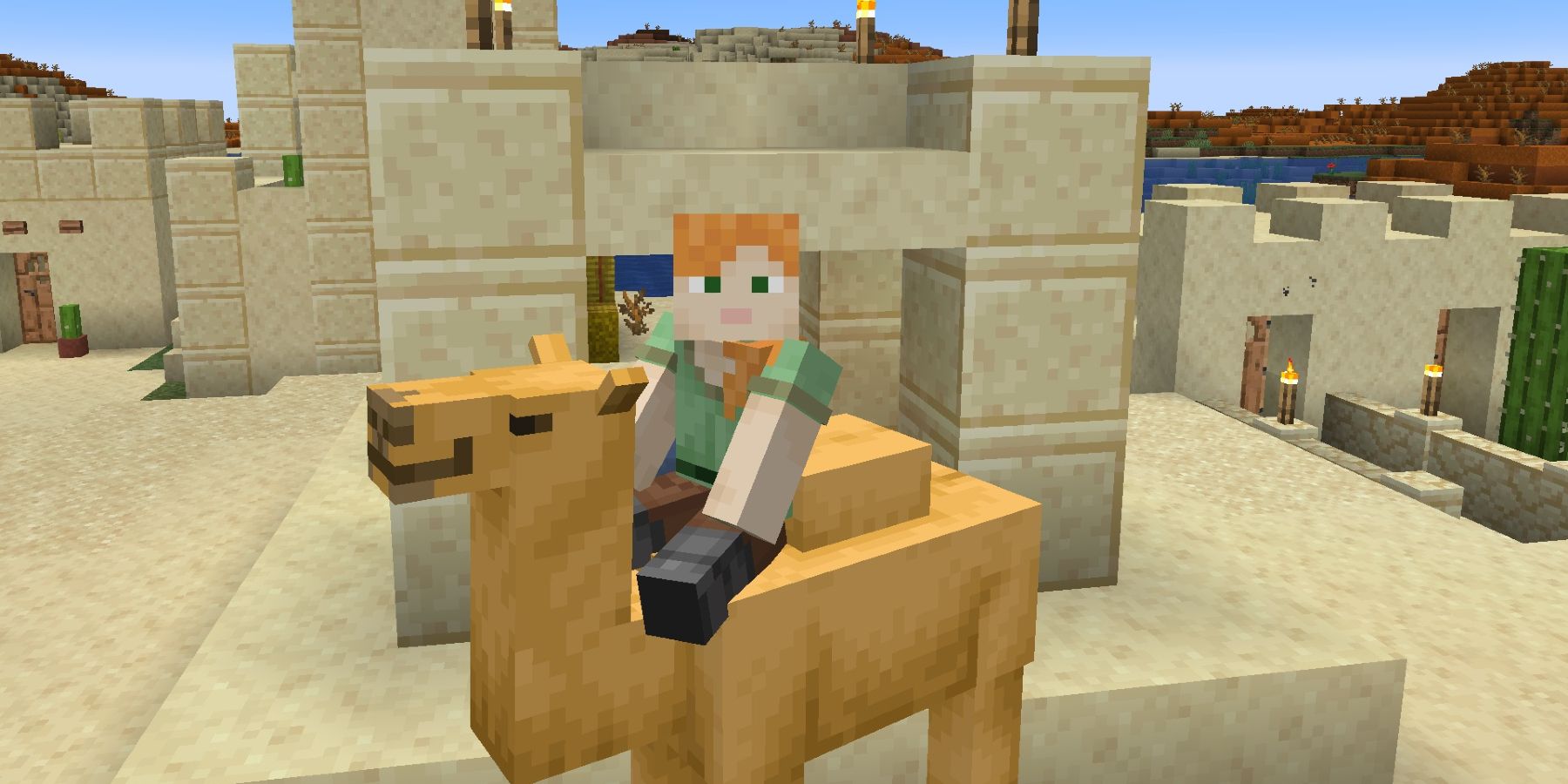 Minecraft player camel camel