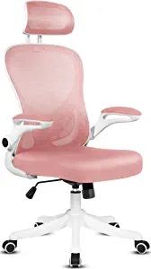 Misolant Pink Officce and Gaming Chair