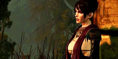 Witch of the Wilds Morrigan The Mage and Shamaness in Dragon Age: Origins Morrigan