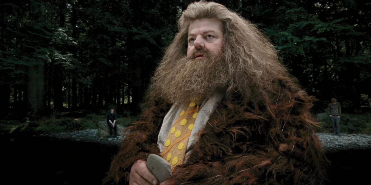 Hagrid in Harry Potter and the Prisoner of Azkaban with a stone in hand