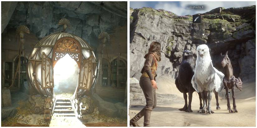 new vivarium in hogwarts Legacy