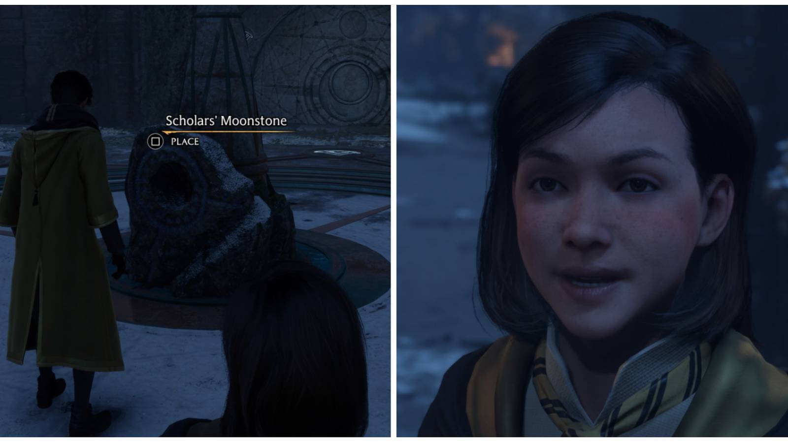 The Scholars' Moonstone and Poppy in Hogwarts Legacy