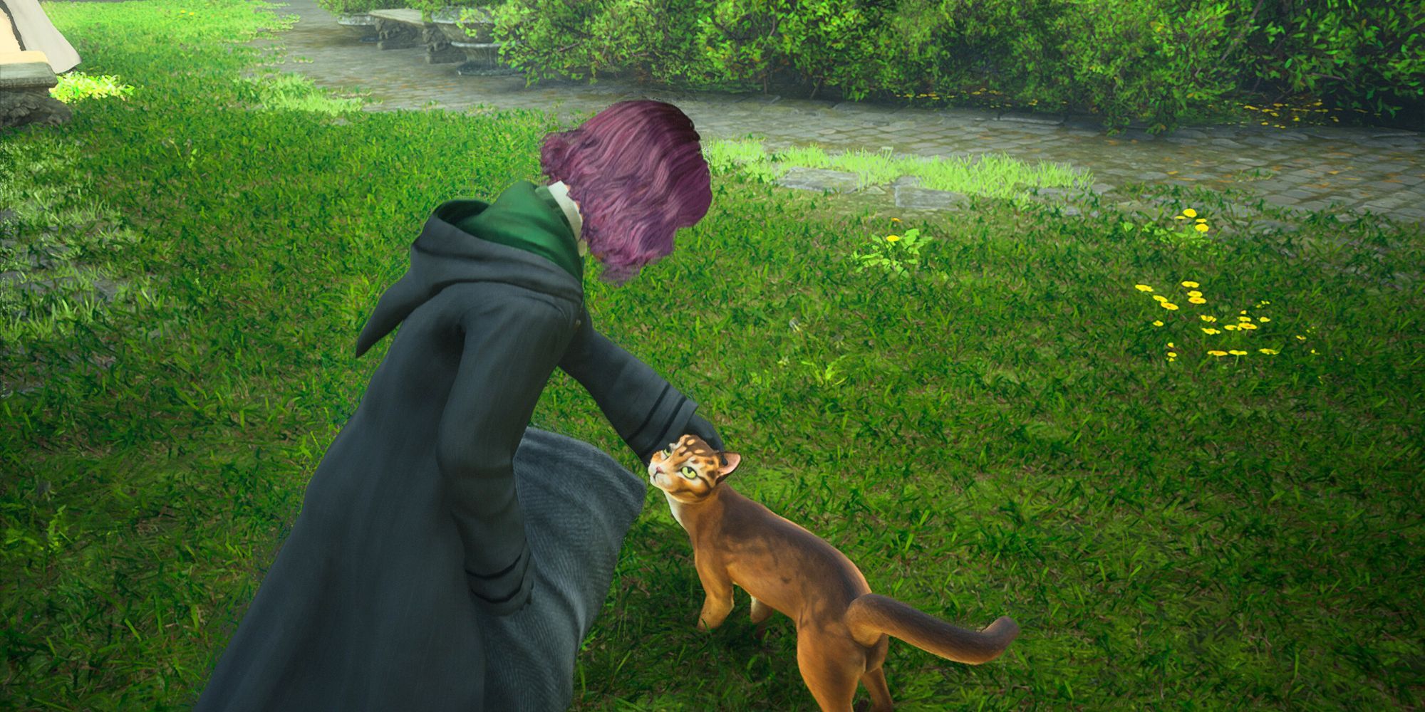 Petting a cat in Hogwarts Legacy