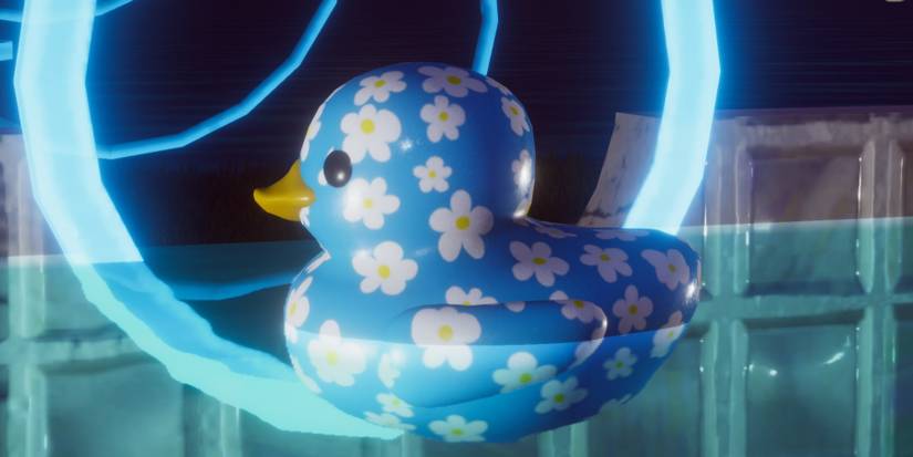 Placid-Plastic-Duck-Sim-All-Ducks-BlueFlowers