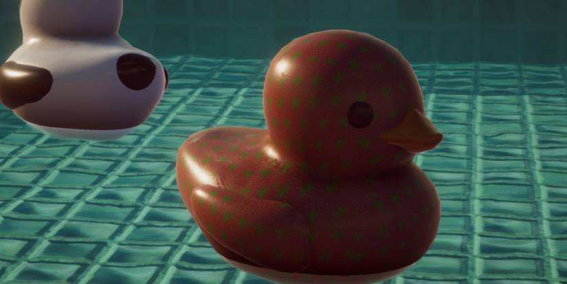 Placid-Plastic-Duck-Sim-All-Ducks-Cactus