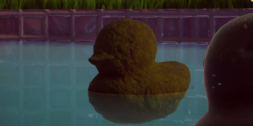Placid-Plastic-Duck-Sim-All-Ducks-Dirty