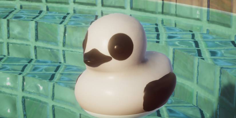 Placid-Plastic-Duck-Sim-All-Ducks-Panda
