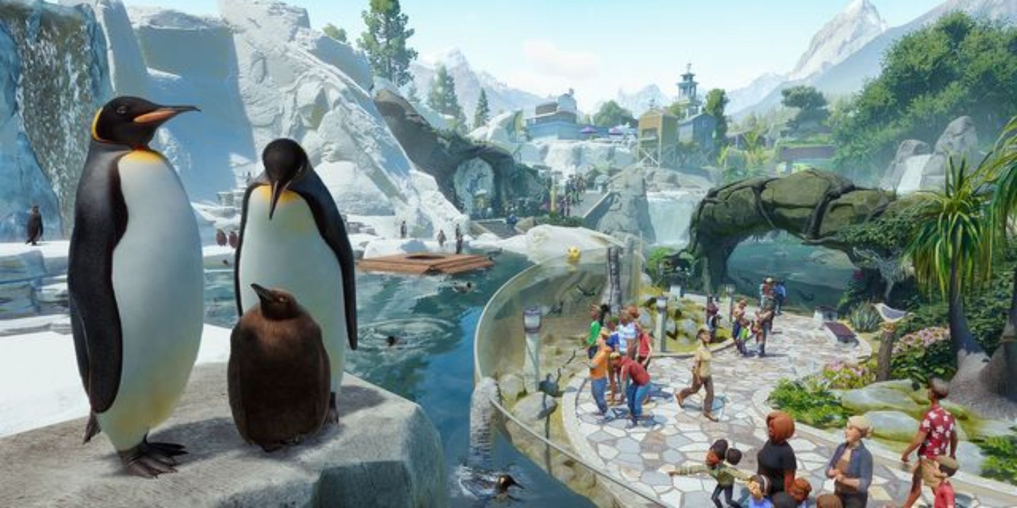A family of penguins standing on a cliff overlooing a zoo in Planet Zoo