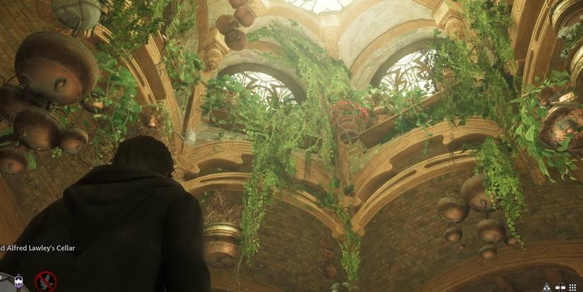 plants in hufflepuff common room in hogwarts legacy