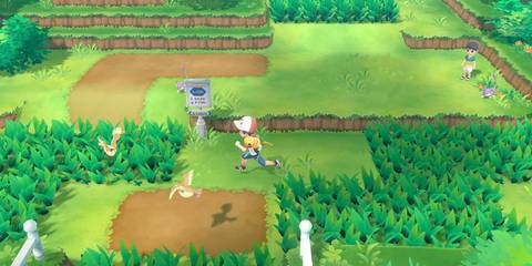 pokemon Let's Go, Eevee