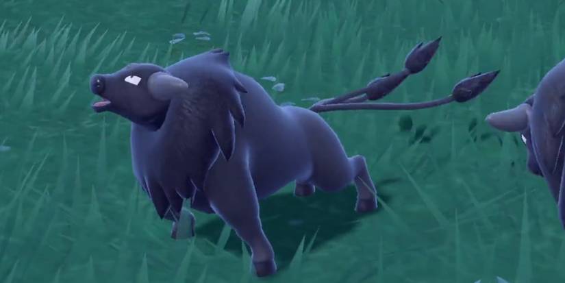 pokemon-paldea-tauros