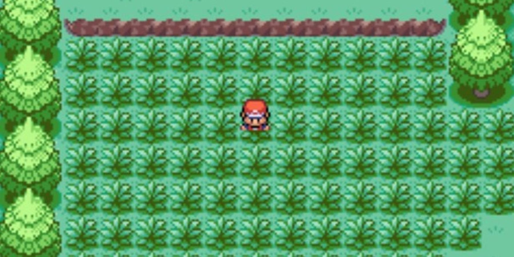 Pokemon Tall Grass