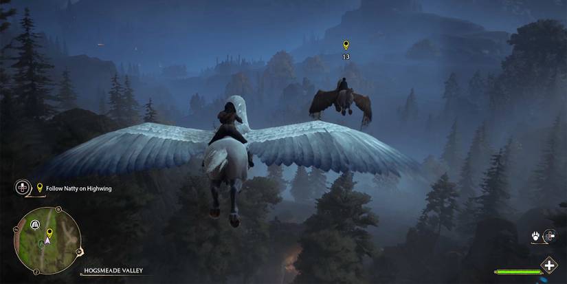 riding highwing in hogwarts Legacy