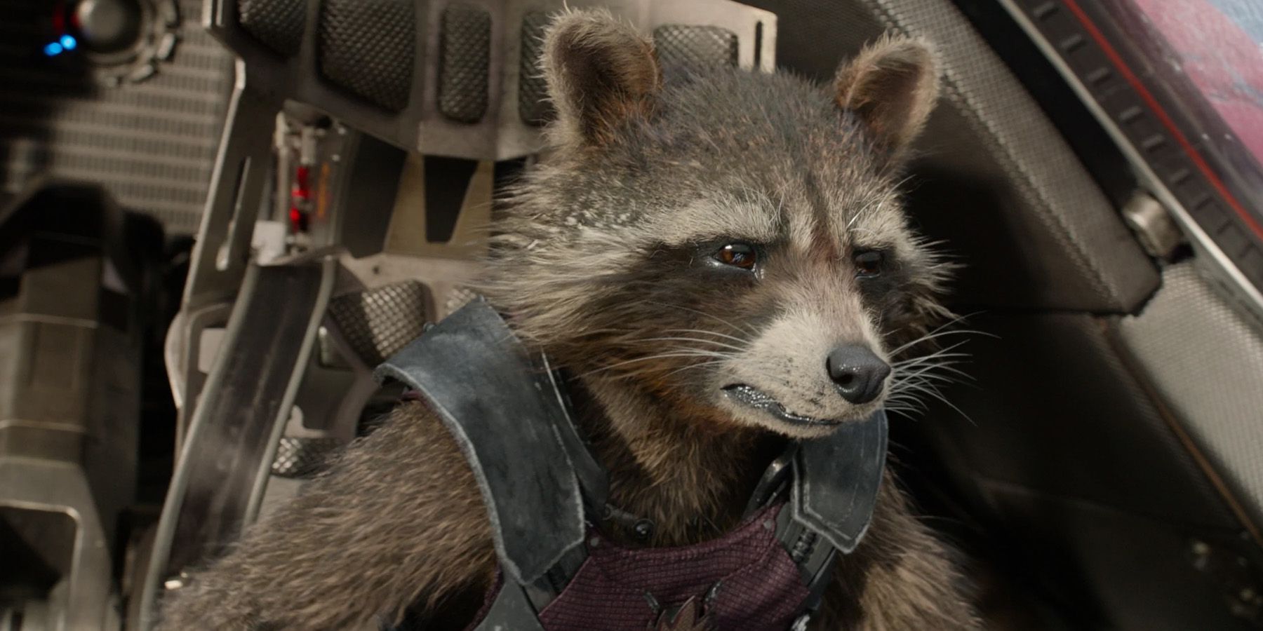 Rocket Raccoon from Guardians of the Galaxy