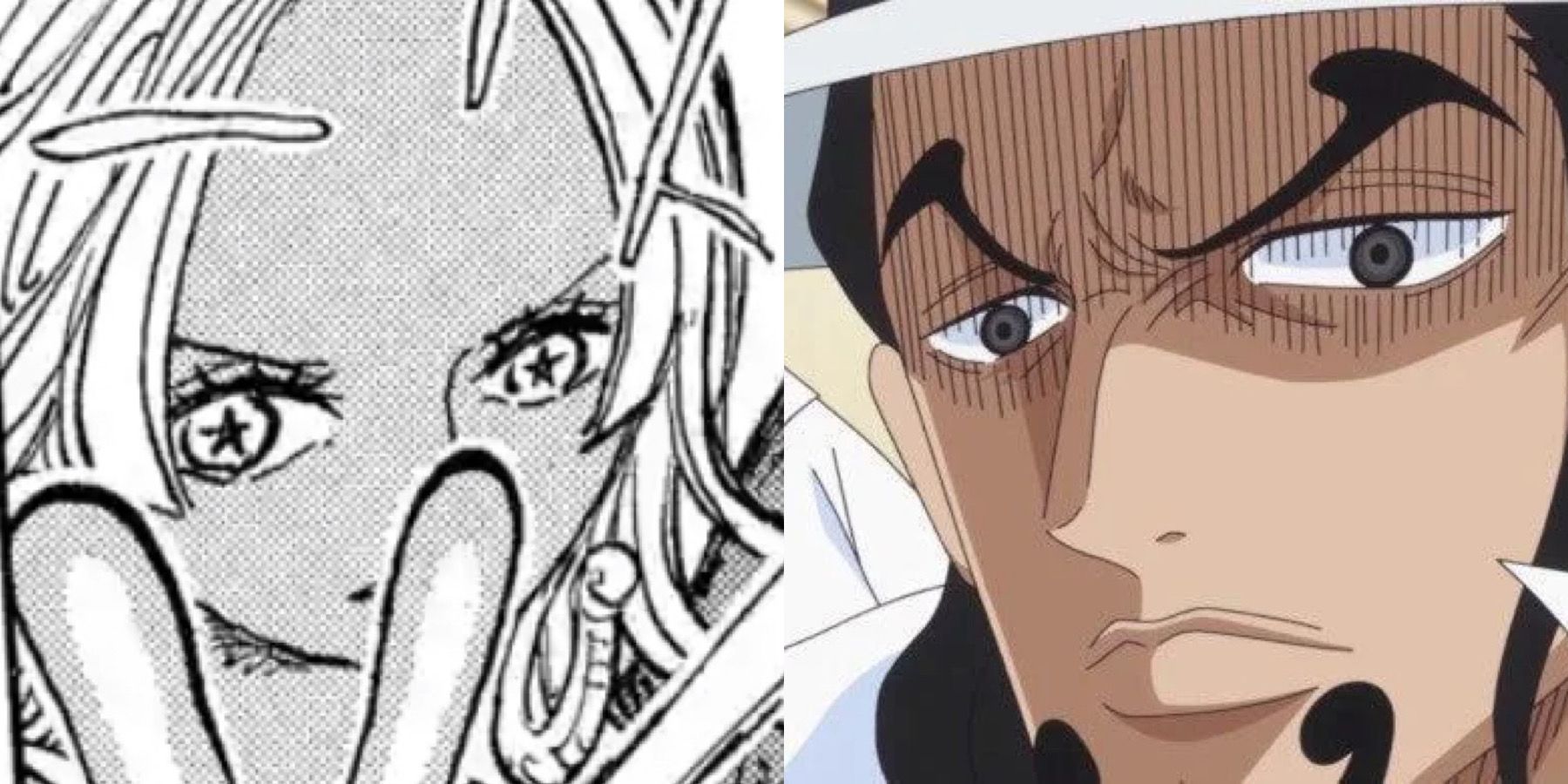 One piece chapter 1076