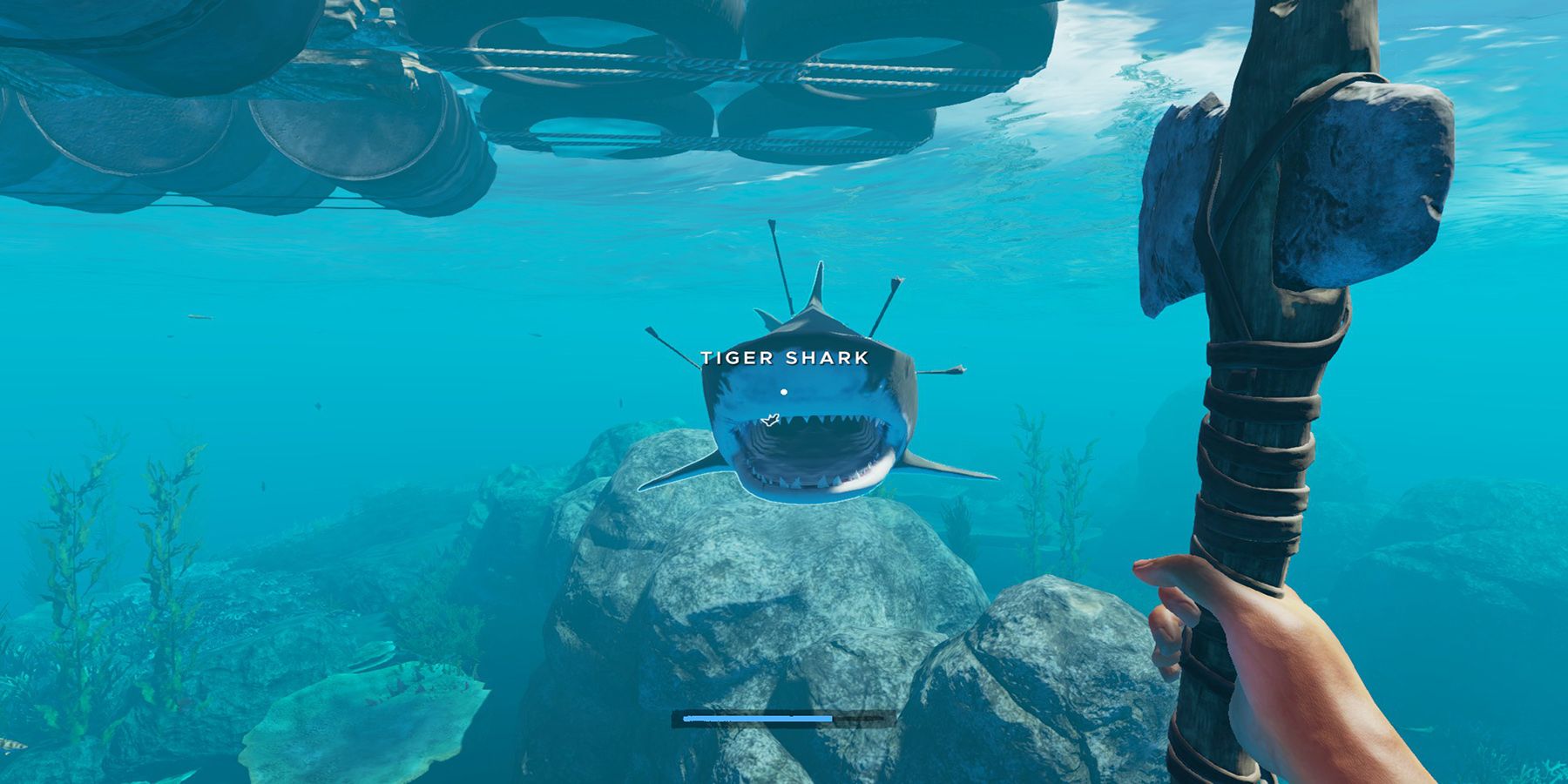an image of a shark in stranded deep. 