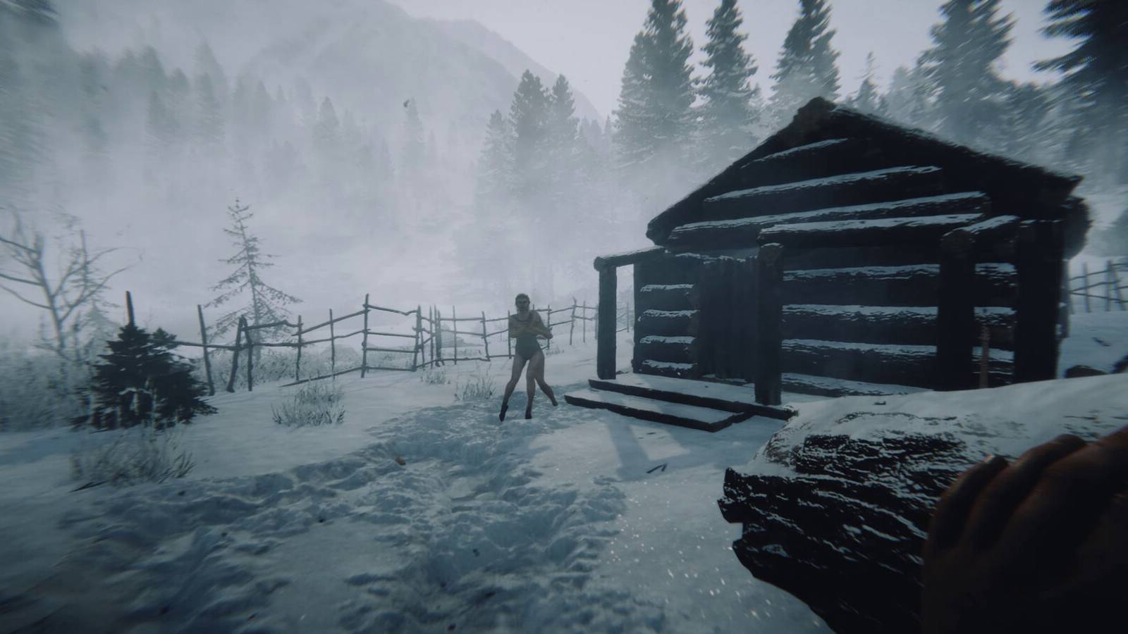 who is virginia sons of the forest