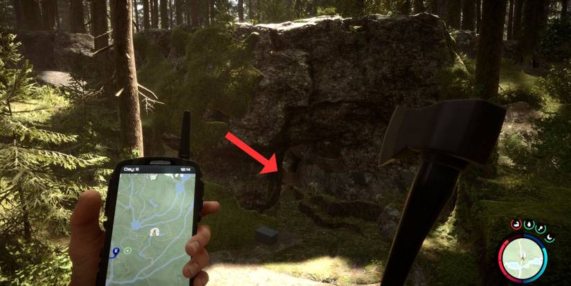 Sons of The Forest Cave