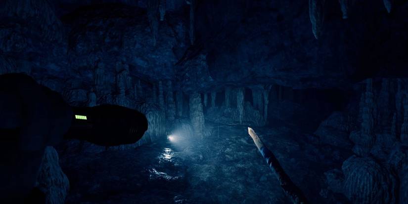 Sons Of The Forest Caves