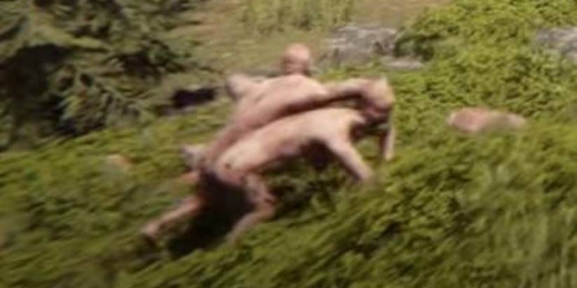 early access release