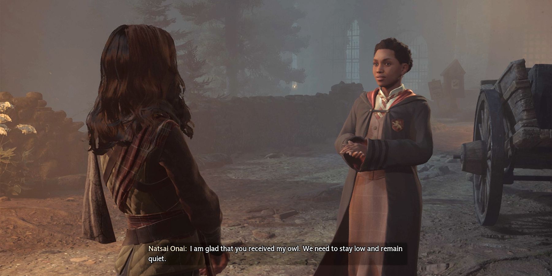 speaking with natsai in hogwarts Legacy