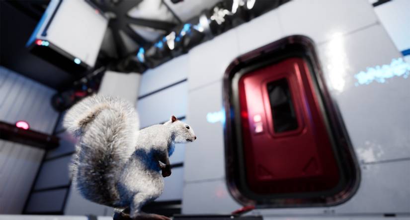 squirrel with gun lab custom fir