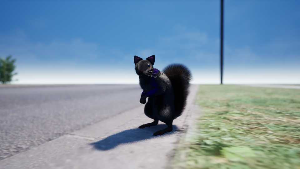 squirrel gun black fur