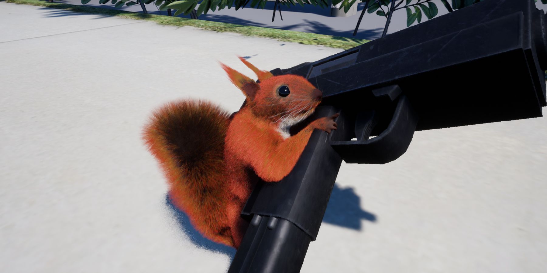 squirrel with pistol
