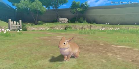 stable fire emblem engage