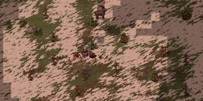 Player looks for resources on a desert