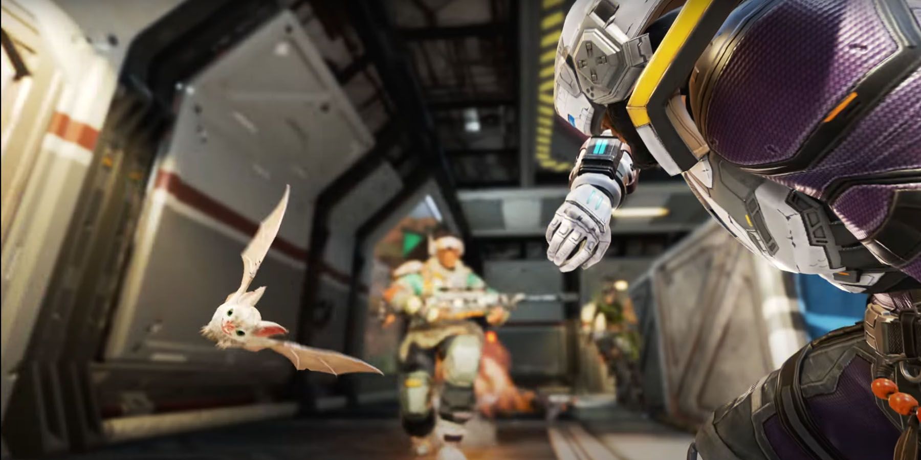 air assault vs rogue echo