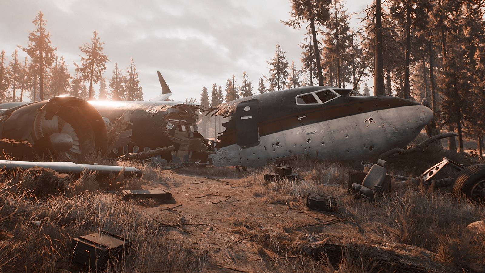 The Day Before crashed plane promo screenshot