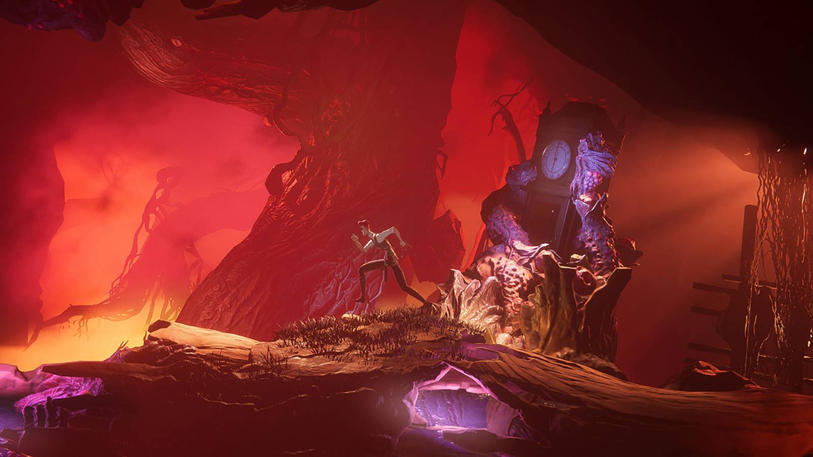 screenshot from the last case of benedict fox