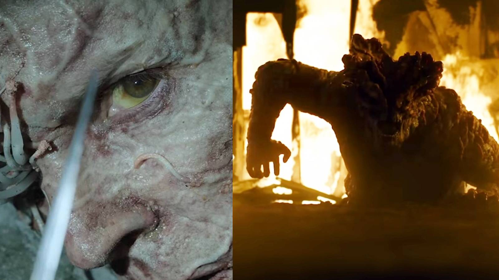 The Last of Us Infected Zombie