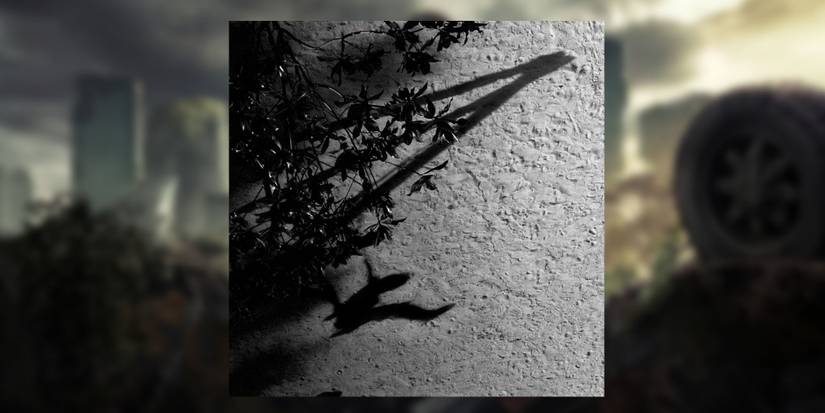 The Last Of Us HBO Max Richter album cover 