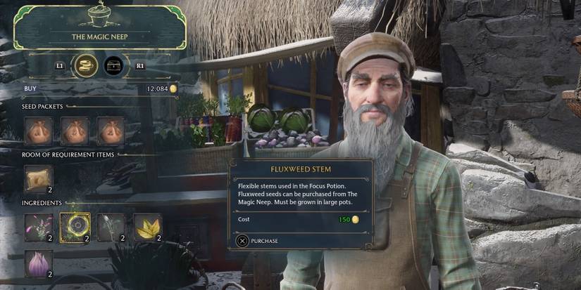 the magic neep in hogwarts legacy