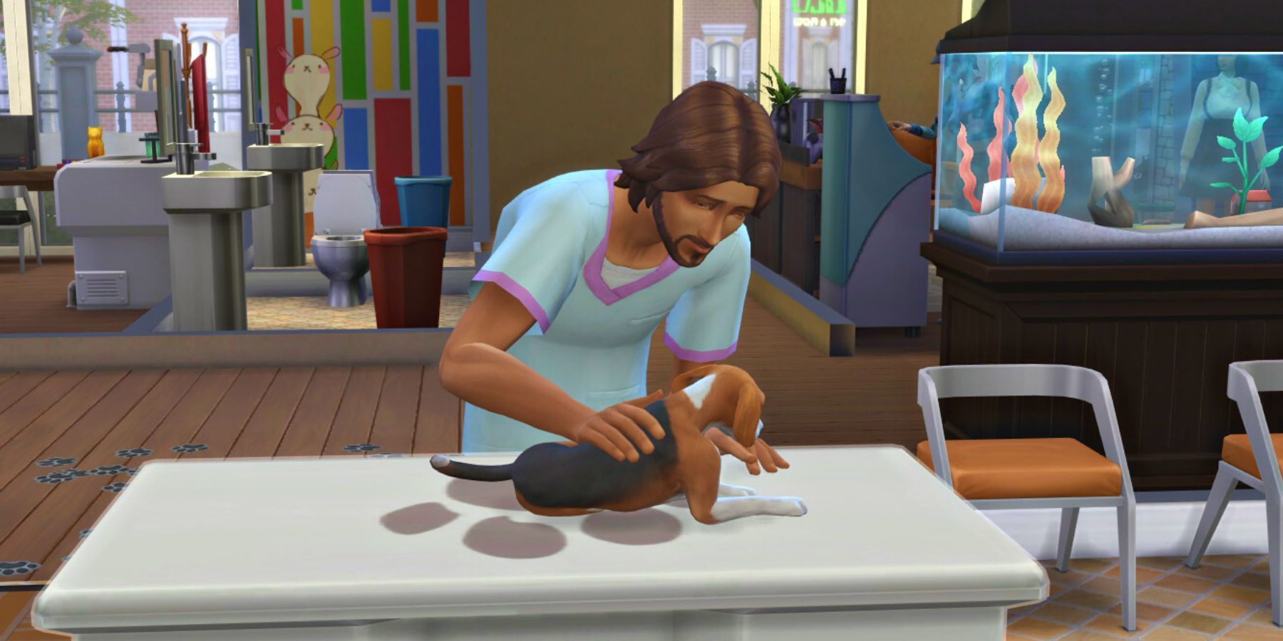 The Sims 4 Vet