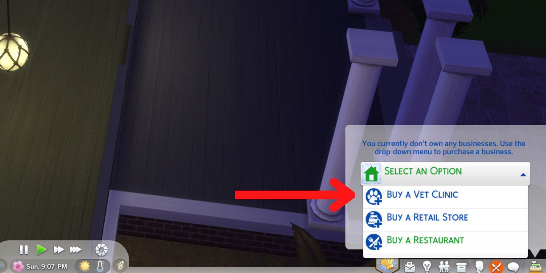 The Sims 4 Vet