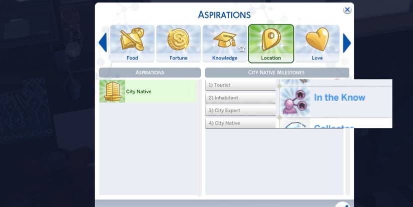 The Sims 4 City Native Aspiration