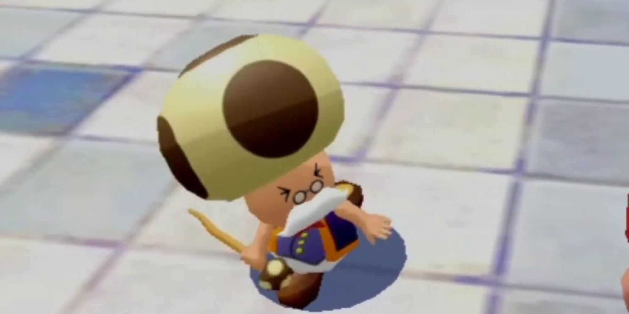 Toadsworth on the ground in Mario Sunshine